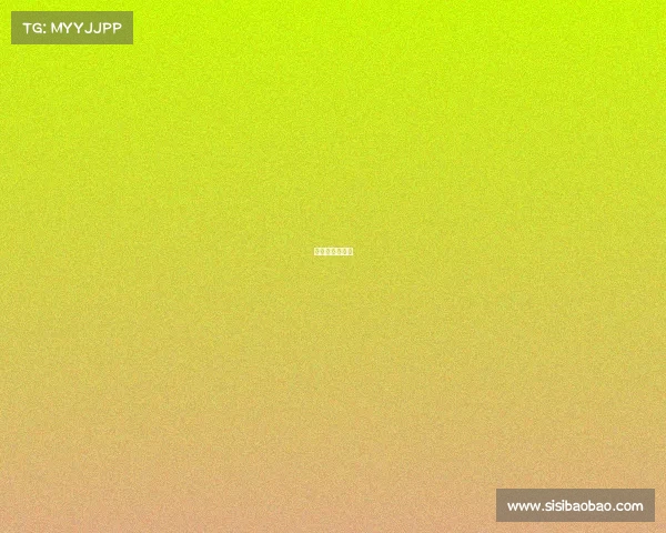 新西兰联赛赛程